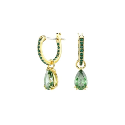 Orecchini pendenti Attract [505e6dc8]