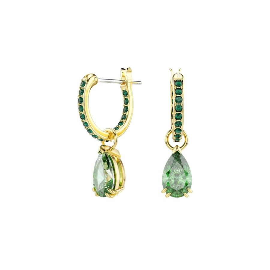 Orecchini pendenti Attract [505e6dc8]